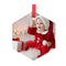 Ornaments - GLASS - 12 x HEXAGON Hanging Ornament